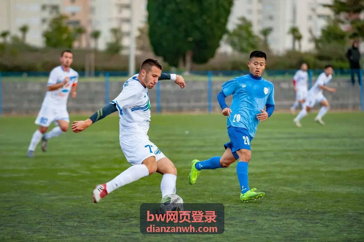 bw网页登录入口页面在浏览器中的操作示意